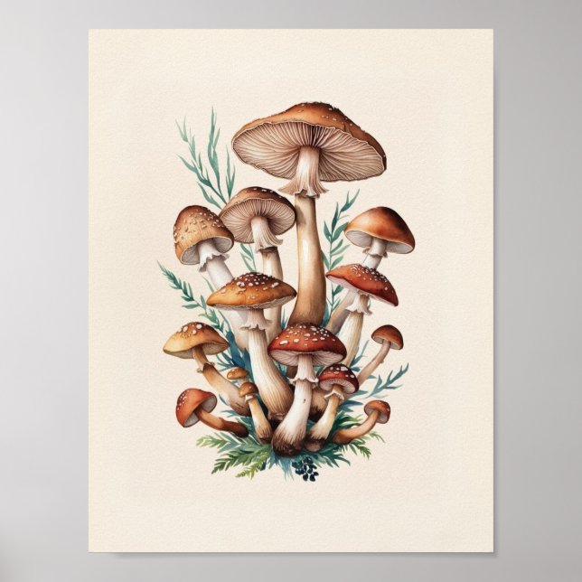 Affiche Un simple champignon (Devant)