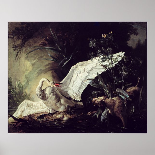 Affiche Un Spaniel D'Eau (Devant)