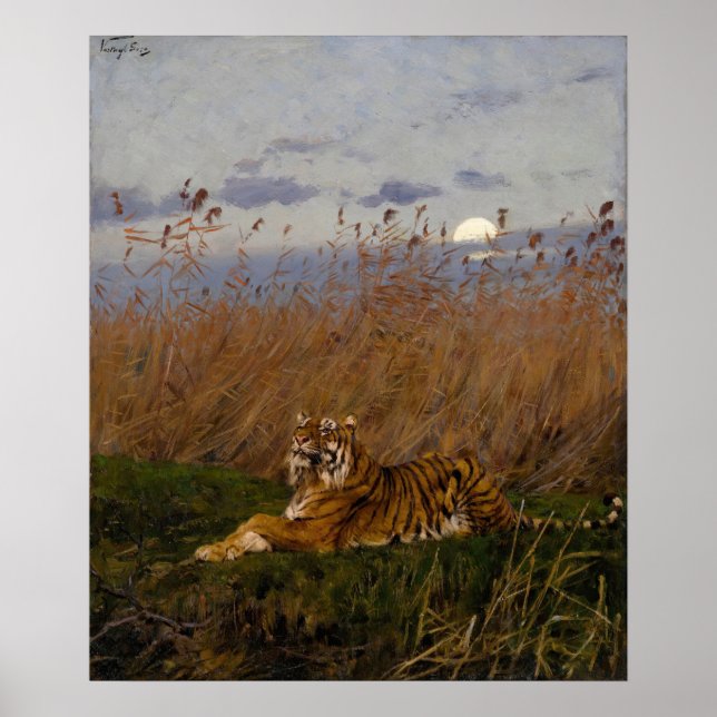 Affiche Un Tigre Au Milieu Des Rousses Au Lune (Devant)