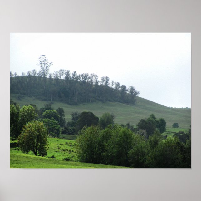 Affiche Un timbre lumineux dans l'Upcountry (Devant)