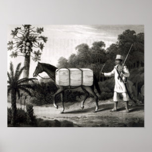 Affiche Un transporteur de coton, des 'voyages dans Brazil