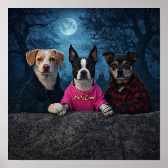 Affiche "Un triangle Twilight" (Devant)