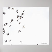 Un troupeau d'oiseaux vole vers le ciel