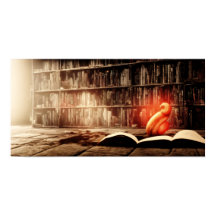 Un Vieux Bookcase 34 - A.I.