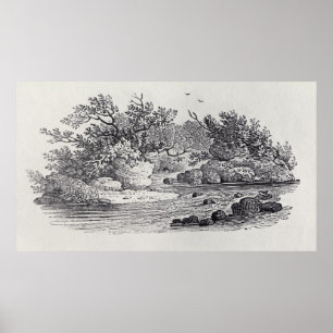 Affiche Un virage dans la rivière de 'Histoire de la Grand