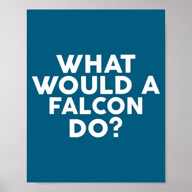 Affiche Un What Would Falcon Falcons (Devant)