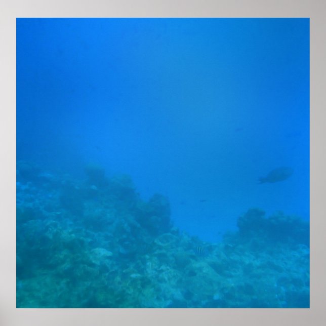 Affiche Underwater Background Scene (Devant)