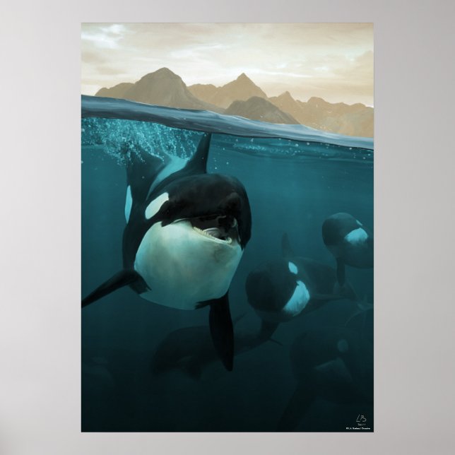 Affiche Underwater scene with orca familiale (Devant)