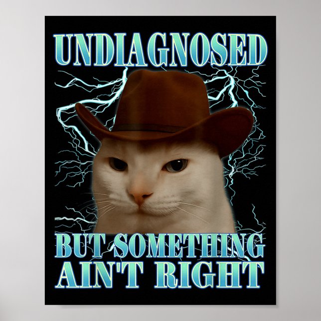 Affiche Undiagnosed But Soing Ain't Right Funny Silly Cat  (Devant)