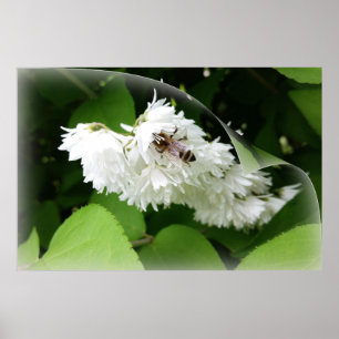 Affiche Une abeille sur une page