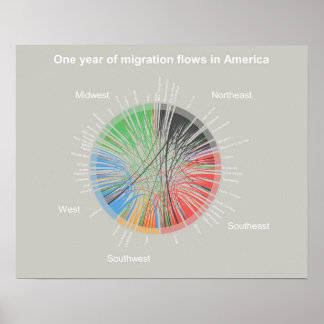 Affiche Une année de flux migratoires en Amérique