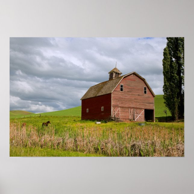 Affiche Une balade à travers le pays agricole de Palouse 4 (Devant)