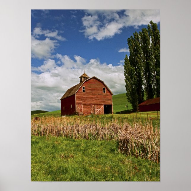 Affiche Une balade dans le pays agricole de Palouse (Devant)