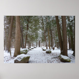 Affiche Une balade dans les bois