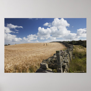 Affiche Une barrière de barbelé construite le long d'une