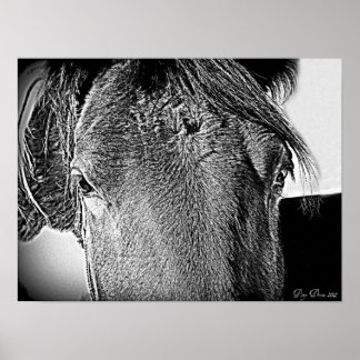 Affiche Une belle vue