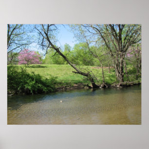 Affiche Une belle vue sur la rivière