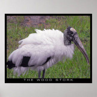 Affiche Une cigogne en bois