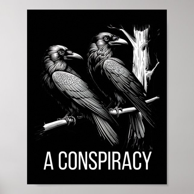 Affiche Une Conspiration De Ravens Gothique Raven Dark Aca (Devant)