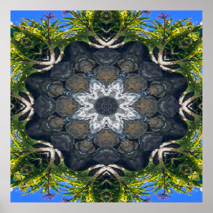 Affiche Une étoile dans le bassin.....