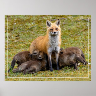 Affiche Une fête de maman