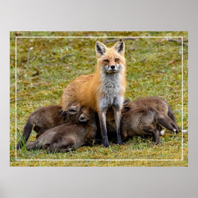 Affiche Une fête de maman (Devant)