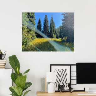 Affiche Une forêt magique