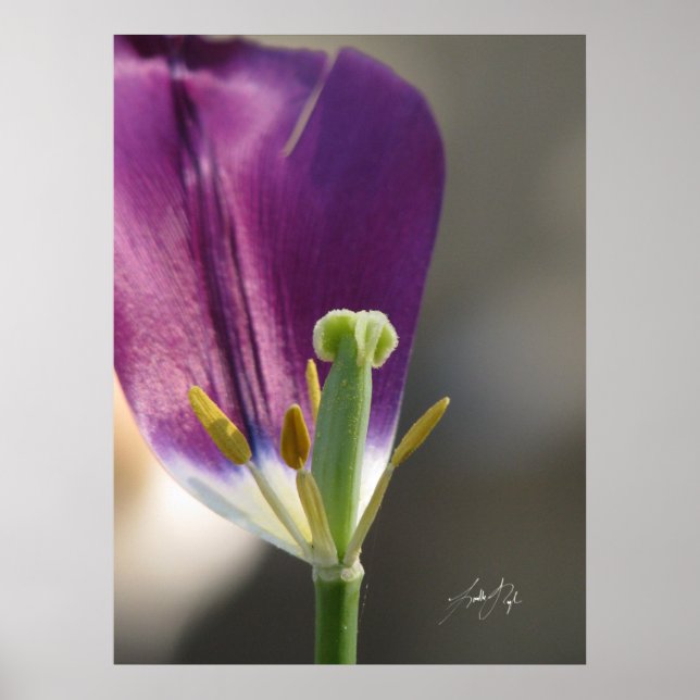 Affiche Une gauche (Devant)