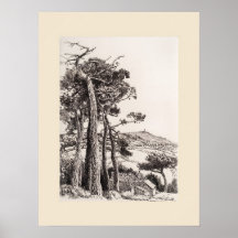 Une gravure de folie en Cornouailles, Réimpression