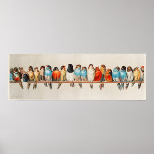 Affiche Une illustration vintage d'oiseaux sur une branche