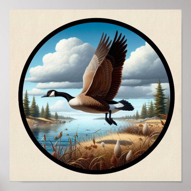 Affiche Une image 3D circulaire d'un magnifique oie du Can (Devant)