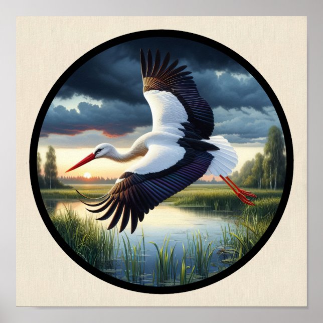 Affiche Une image 3D circulaire d'une belle cigogne blanch (Devant)