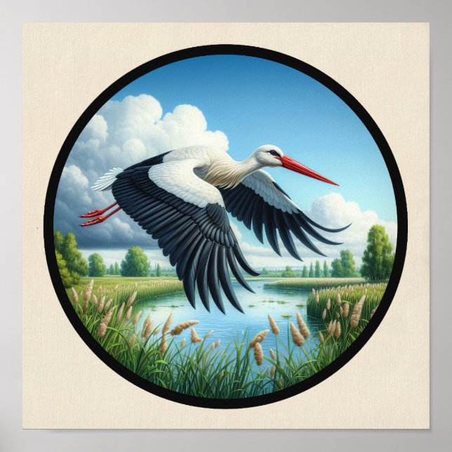 Affiche Une image 3D circulaire d'une belle cigogne blanch (Devant)