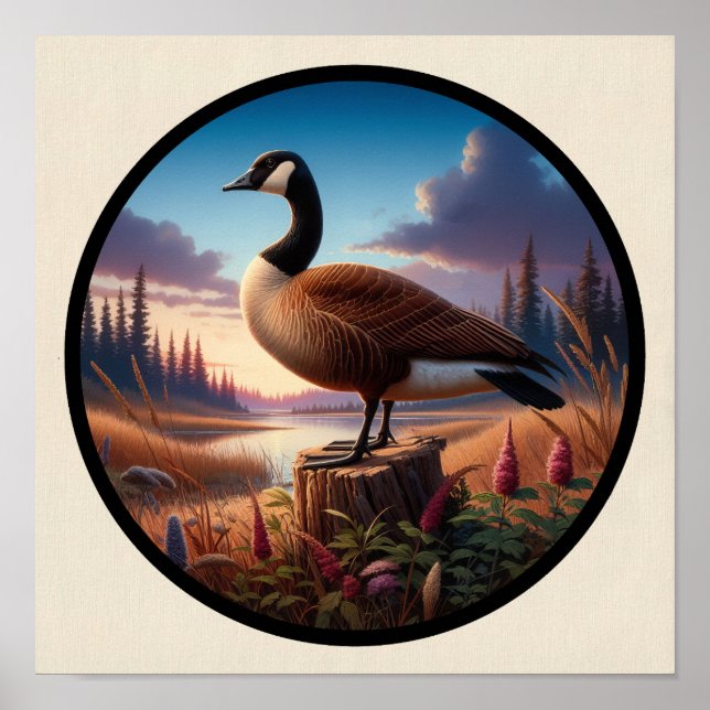 Affiche Une image circulaire 3D d'une belle oie canadienne (Devant)