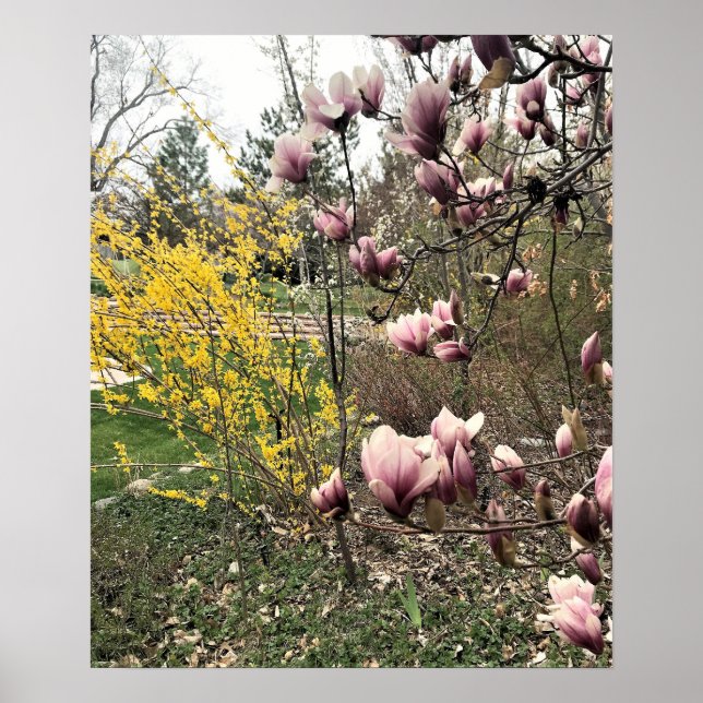 Affiche Une journée dans le parc (Devant)