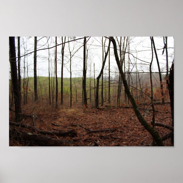 Affiche Une journée dans les bois (Devant)