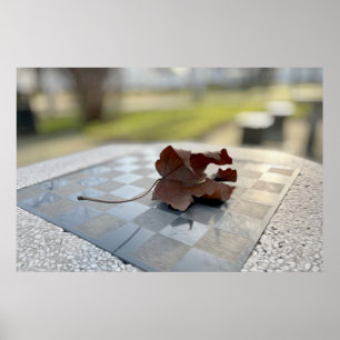 Affiche Une leçon d'échecs