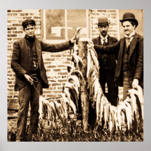 Affiche Une lisse complètement des poissons un crochet fin