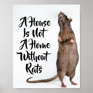Affiche Une maison n'est pas une maison sans rats