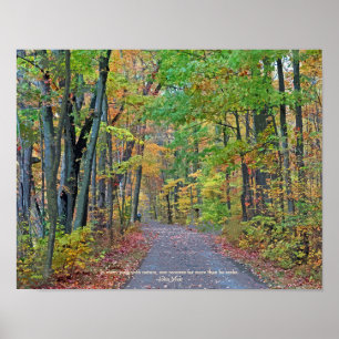 Affiche Une marche dans les bois d'automne Photographie or