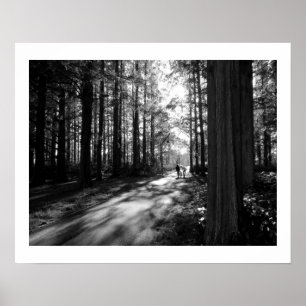 Affiche Une marche en forêt : Parc de Mizumoto, Tokyo