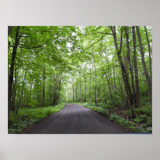 Affiche Une marche pacifique à Woods (Devant)