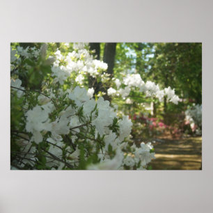 Affiche Une marche printanière