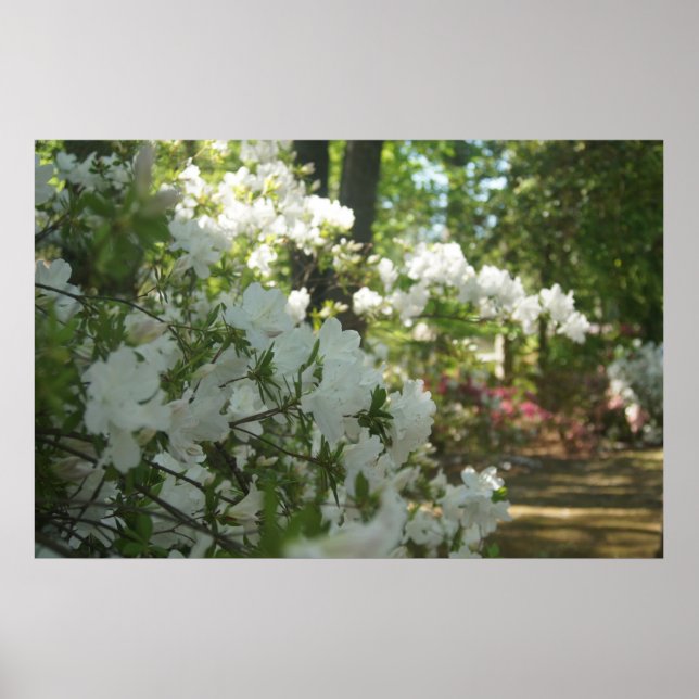 Affiche Une marche printanière (Devant)