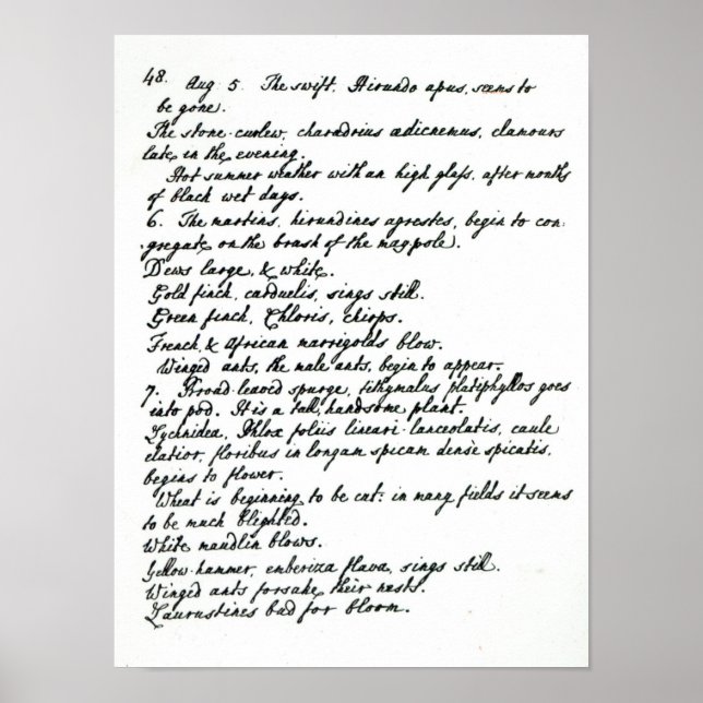 Affiche Une page du journal du révérend James Woodforde (Devant)