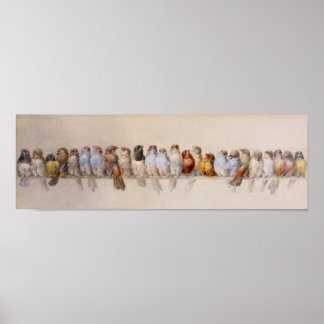 Affiche Une perche d'oiseaux (1880) Hector Giacomelli Full