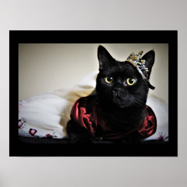 Affiche Une petite princesse (Devant)