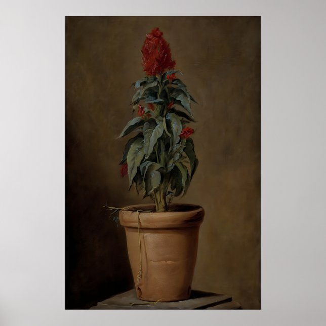 Affiche Une plante en pot Fleurs Nature morte, Botanique s (Devant)