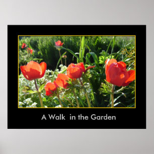 Affiche Une promenade dans le jardin