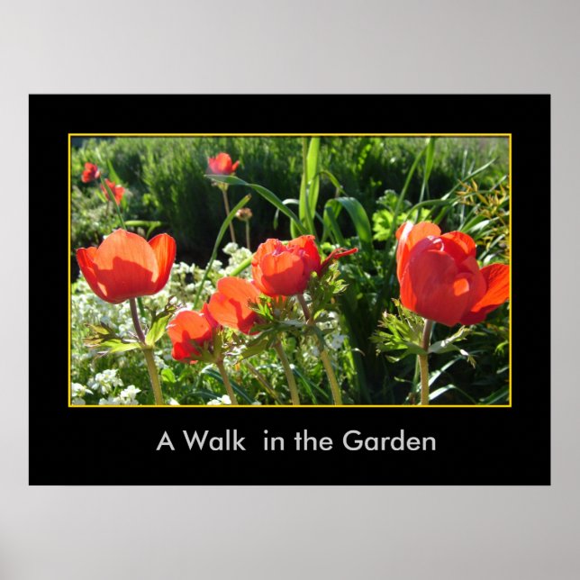 Affiche Une promenade dans le jardin (Devant)